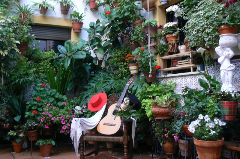 Patio típico cordobés en Mayo/Festival de los Patios. Patio en Córdoba